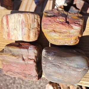 4pieces 4lbs AZ rainbow naturally polished petrified wood
